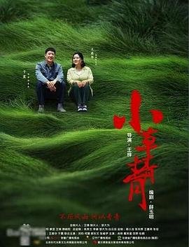 《小草青青》免费观看电视剧在线观看高清完整版